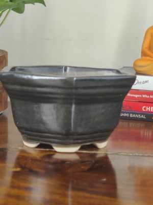 Get this unique and hexagonal ceramic bonsai pot