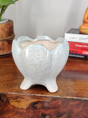 Get this beautiful glazed ceramic bonsai pot of dia style