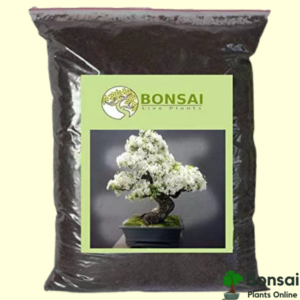 Get this Essential Bonsai Soil Mix 1 kg for sale in India