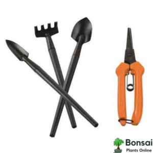 Complete kit for easy care of all your bonsai plants