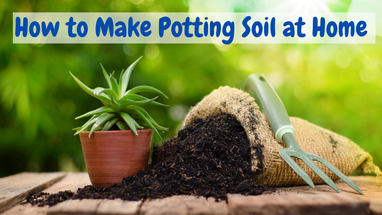 Potting Soil