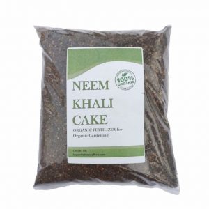 Neem Khali Cake