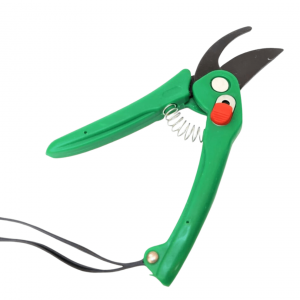Pruner