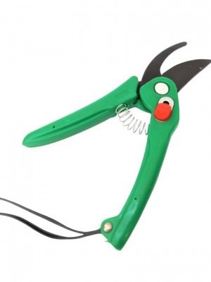 Pruner