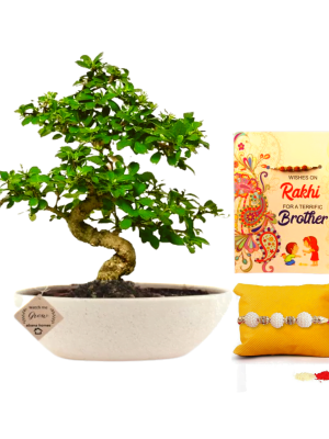PERSONALIZED RAKHI GIFT FOR BROTHER