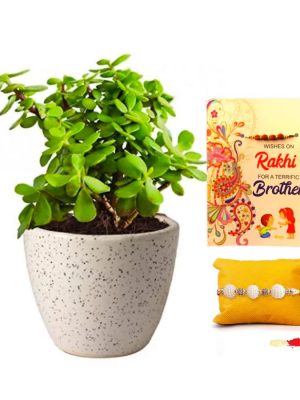 customised rakhi with gift for brother