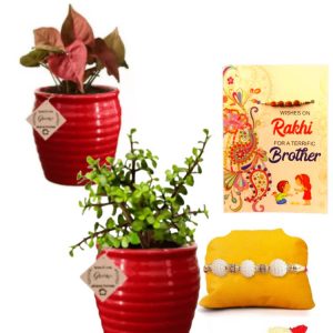 customised rakhi with gift for brother