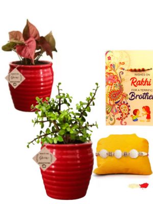 customised rakhi with gift for brother