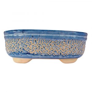 Big Bonsai Pot Blue Carved Oval 27cm