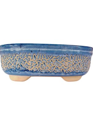 Big Bonsai Pot Blue Carved Oval 27cm