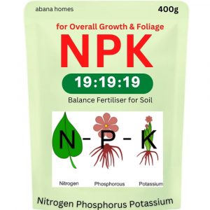 npk fertilizer 19 19 19 400gms