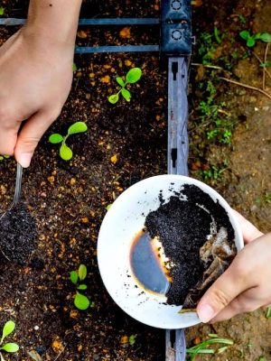 Soil & Fertilizers
