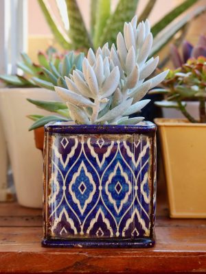 Ceramic Pots
