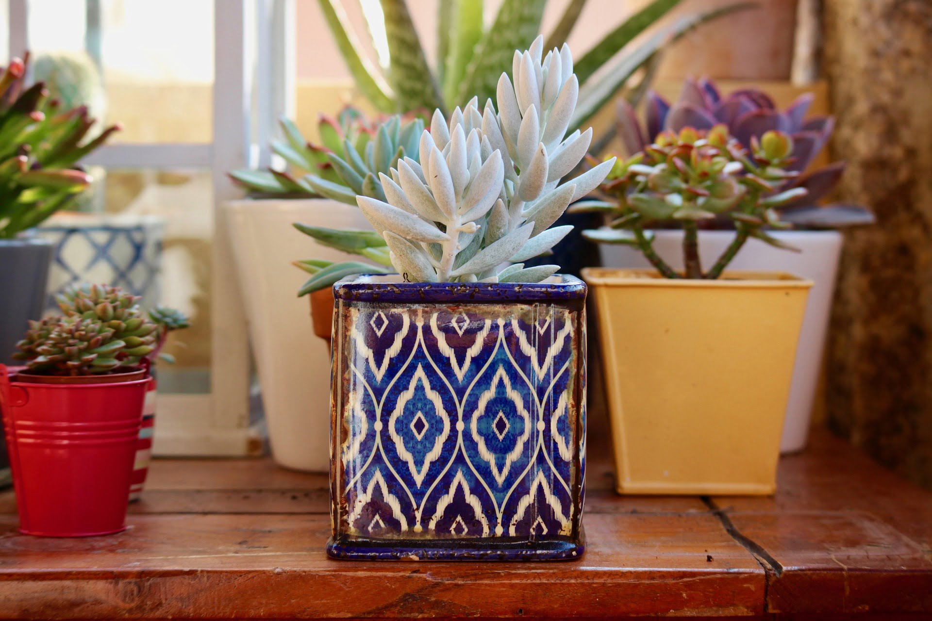 ceramic pots