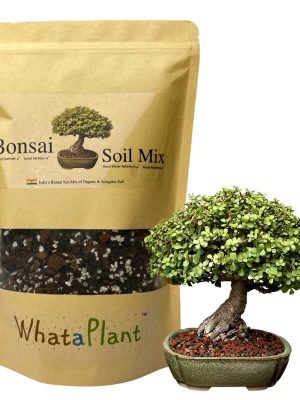 bonsai-soil-mix-01