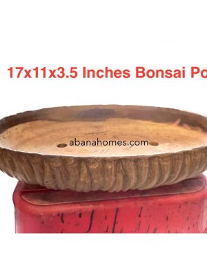 large bonsai pot by abana homes