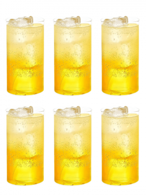 Treviso Glass Set Of 6 Pcs 330Ml - With Gift Box