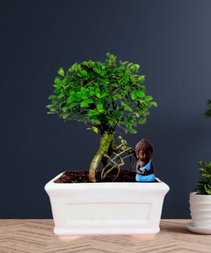White Ceramic Bonsai Pot for Garden Plants 17x10x10 cm