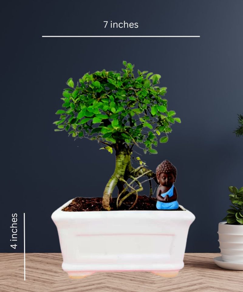 White Ceramic Bonsai Pot for Garden Plants 17x10x10 cm - Image 2