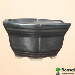 Hexagonal Ceramic Bonsai Pot 14x14x10 cm