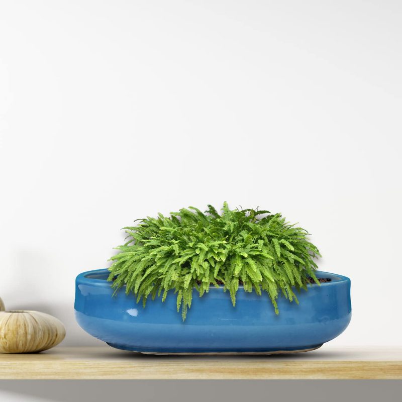 Blue Bonsai Pots for Plants, Ceramic Pot 17x28x7 CM