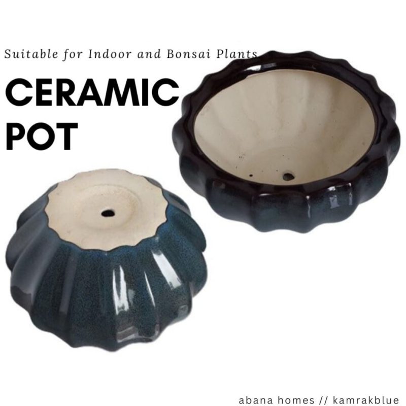 Ceramic Pots for Plants, Bonsai Pots 15cm/ 6 Inches - Kamrak - Image 4
