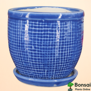 Ceramic Bonsai Pot with Tray 13x13x15 cm