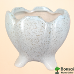 Rounded Ceramic Bonsai Pot (Dia-Style) 10x10x12 cm