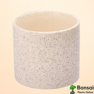 Textured Ceramic Bonsai Pot 4x4"