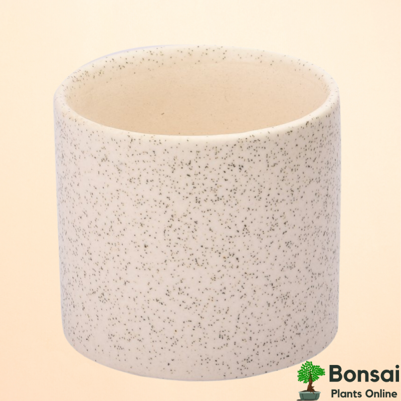 Textured Ceramic Bonsai Pot 4x4"
