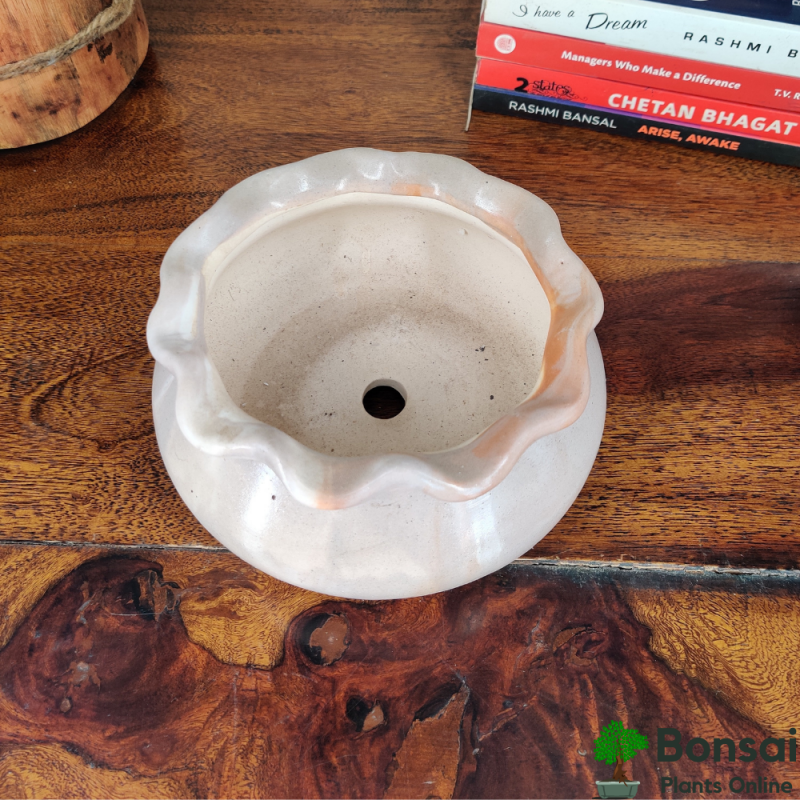 Designer Ceramic Bonsai Pot 15x15x10 cm - Image 3