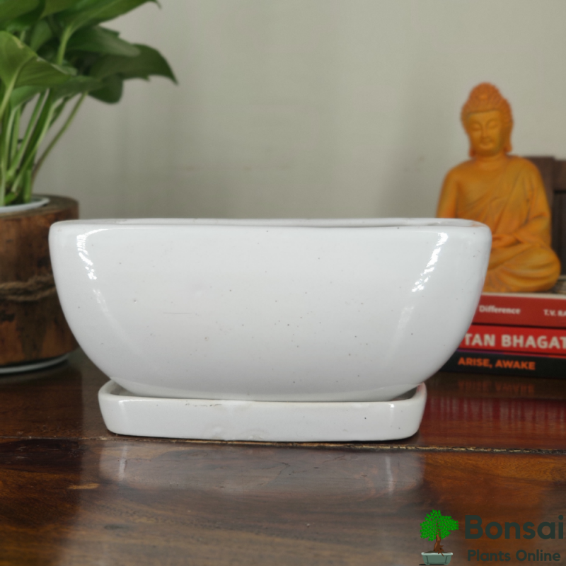 Ceramic Bonsai Tray Pot 15x10x10 cm - Image 2