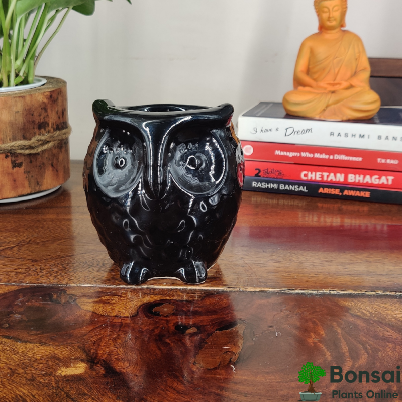 "Auspicious Owl" Ceramic Pot 10x10x13 cm - Image 2