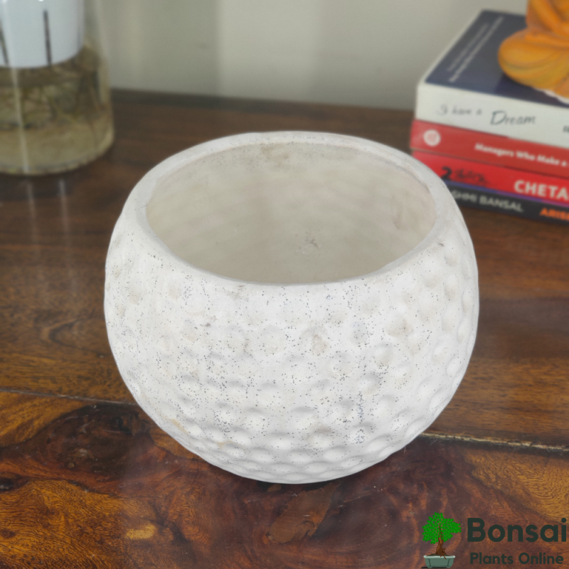 Football-Style Ceramic Bonsai Pot 5x5" - Image 4
