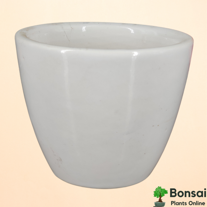 Cup-Shaped Ceramic Flower Pot 10x10 cm - Image 4