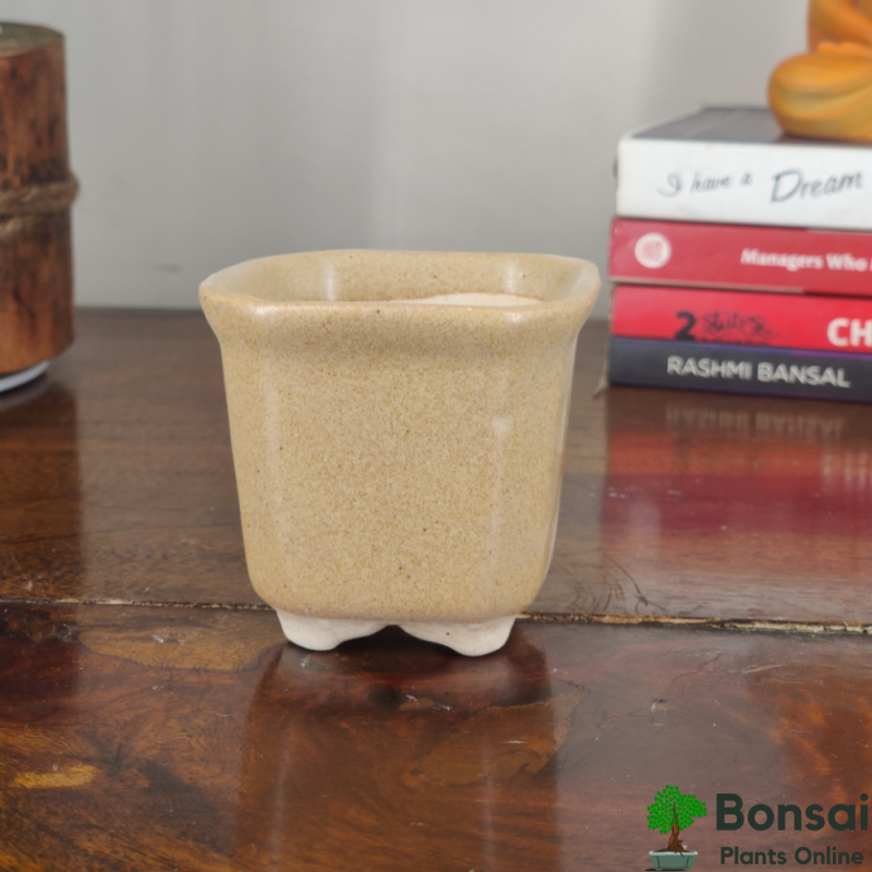 Square Ceramic Bonsai Pot 4x4" - Image 2