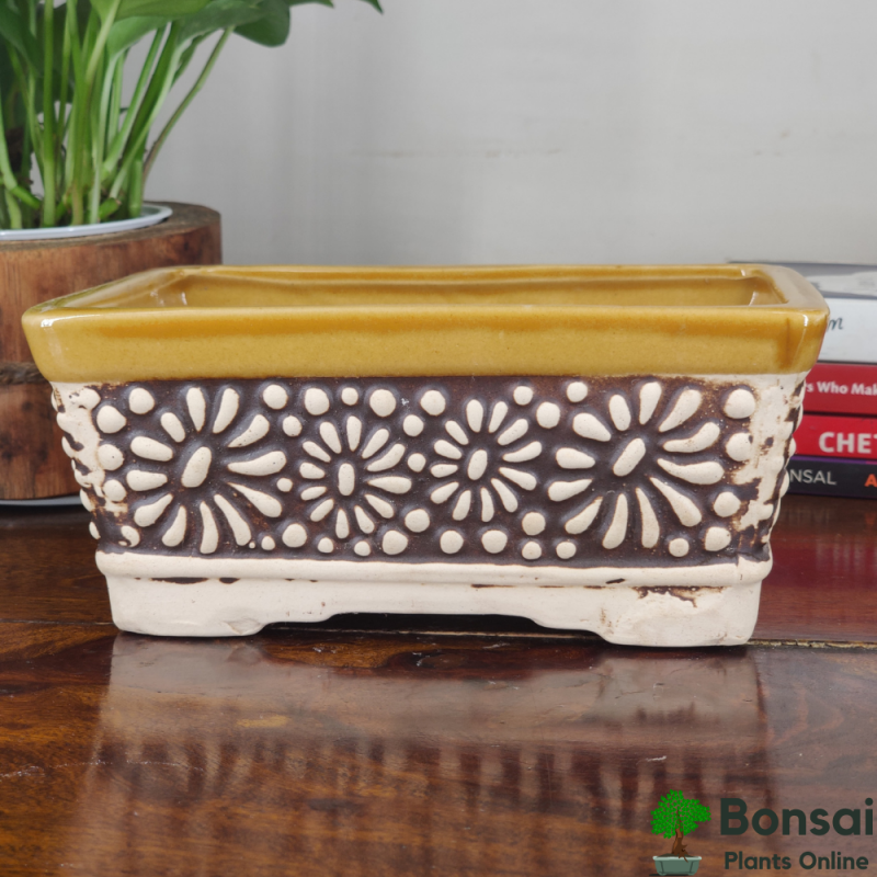 Ceramic Plant Pot, Brown Rectangular, 6x4" - Image 2