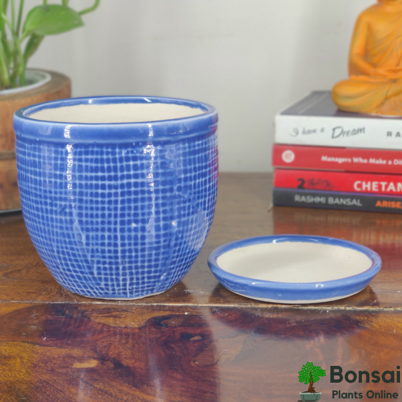 Ceramic Bonsai Pot with Tray 13x13x15 cm - Image 3