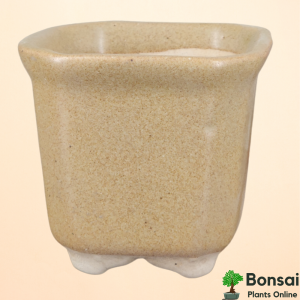 Square Ceramic Bonsai Pot 4x4"
