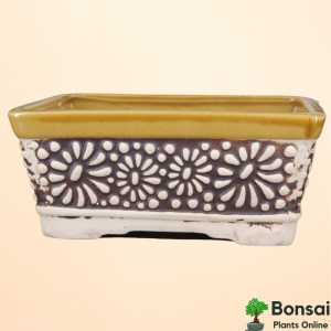 Ceramic Plant Pot, Brown Rectangular, 6x4"