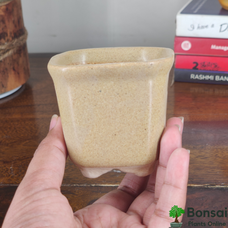 Square Ceramic Bonsai Pot 4x4" - Image 3