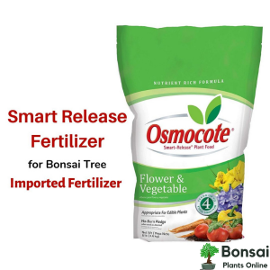 Osmocote Slow Release Bonsai Fertilizer For 12 Months