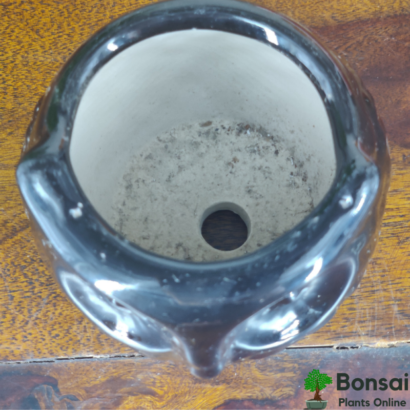 "Auspicious Owl" Ceramic Pot 10x10x13 cm - Image 3