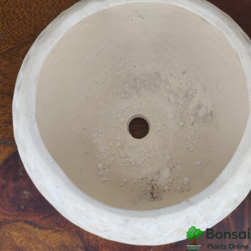 Football-Style Ceramic Bonsai Pot 5x5" - Image 5