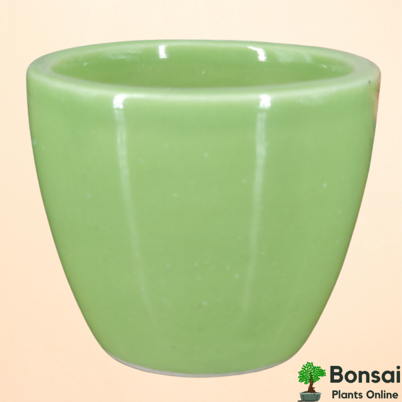 Cup-Shaped Ceramic Flower Pot 10x10 cm - Image 2