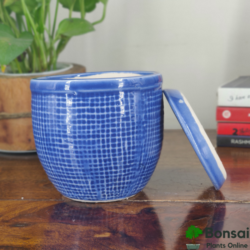 Ceramic Bonsai Pot with Tray 13x13x15 cm - Image 2