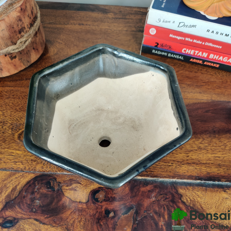 Hexagonal Ceramic Bonsai Pot 14x14x10 cm - Image 3