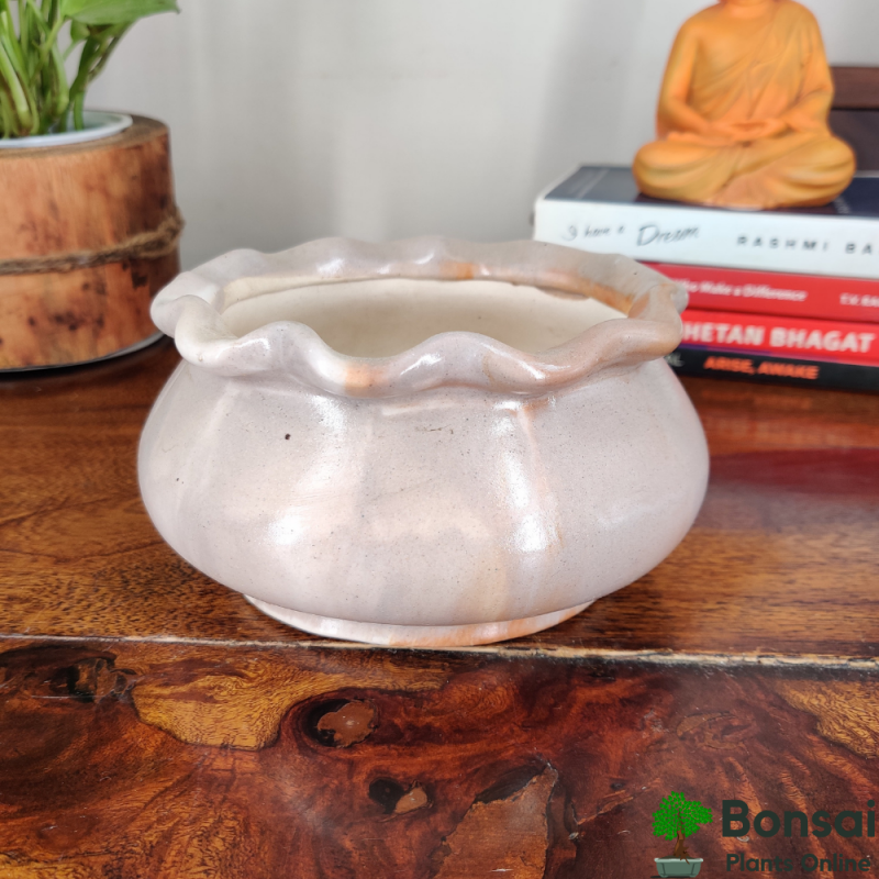 Designer Ceramic Bonsai Pot 15x15x10 cm - Image 2