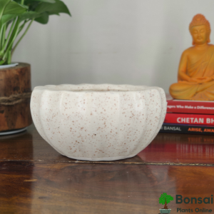 Ceramic Plant Pot, Kamrak, 5x5"
