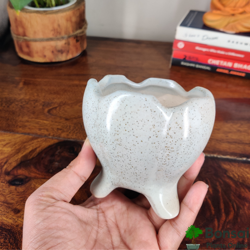 Rounded Ceramic Bonsai Pot (Dia-Style) 10x10x12 cm - Image 2